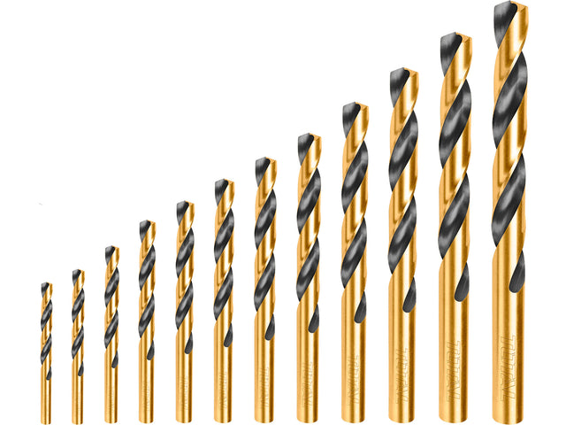 Bohrer für Metall, 12er-Set, HSS - DE und BG Dicht GmbH